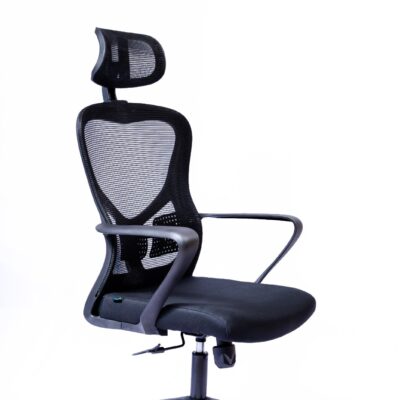 Orthopedic Mesh Office Chair