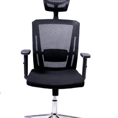 Ergonomic Executive Office Chair